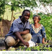 Staff in Temwa Tree Nursery, Usisya Proper, Malawi